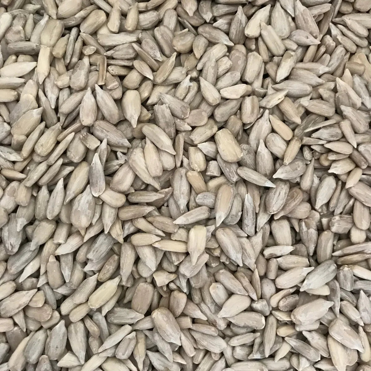 Raw Sunflower Seeds