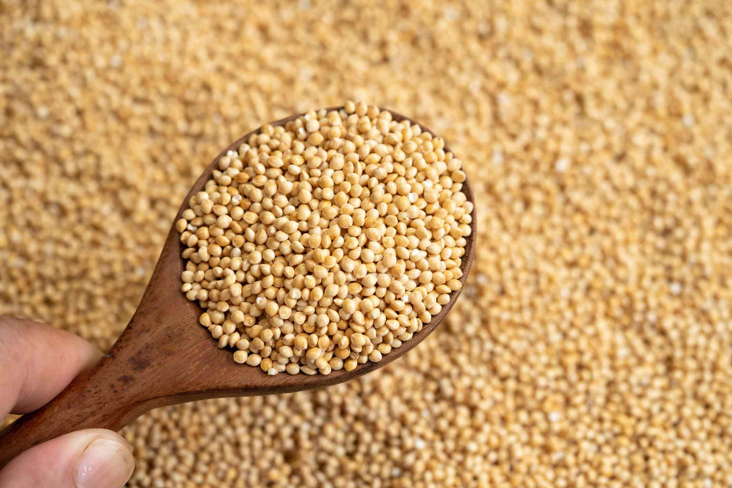 Amaranth (Cholai)