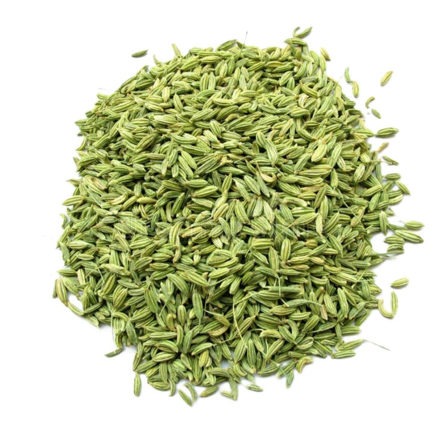 Saunf (Aniseed)